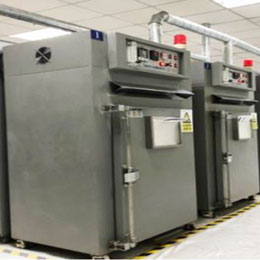 Постплесневое отверждение